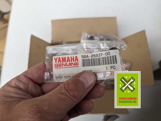 PXL_20240528_174821187